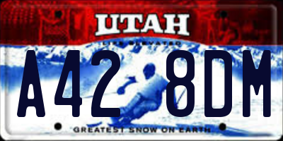 UT license plate A428DM