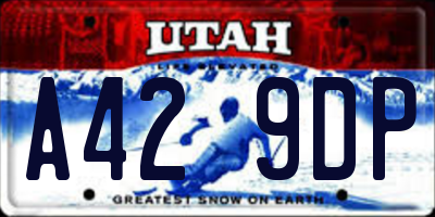 UT license plate A429DP