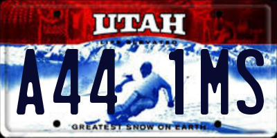 UT license plate A441MS