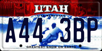 UT license plate A443BP