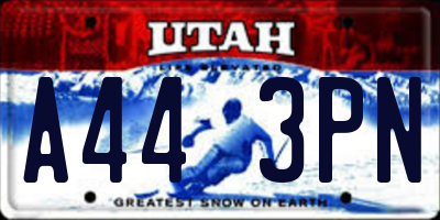 UT license plate A443PN