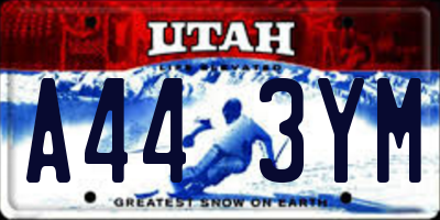 UT license plate A443YM