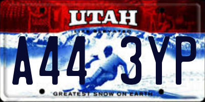 UT license plate A443YP