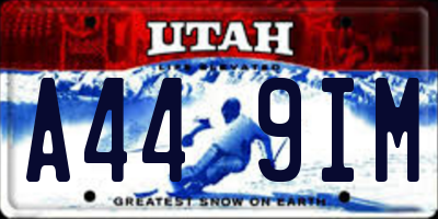 UT license plate A449IM
