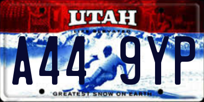 UT license plate A449YP