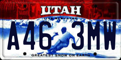 UT license plate A463MW
