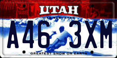 UT license plate A463XM