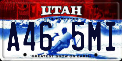 UT license plate A465MI