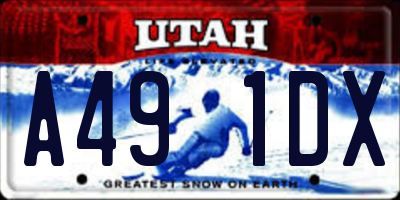 UT license plate A491DX