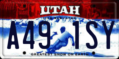 UT license plate A491SY
