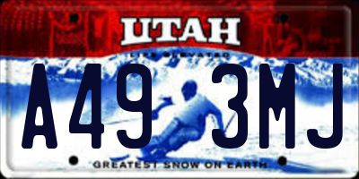 UT license plate A493MJ