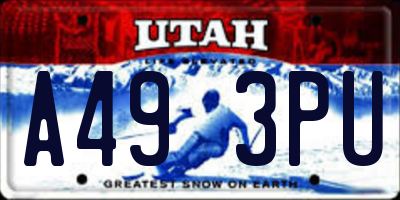 UT license plate A493PU