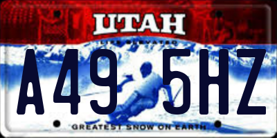 UT license plate A495HZ