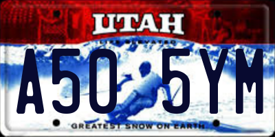 UT license plate A505YM