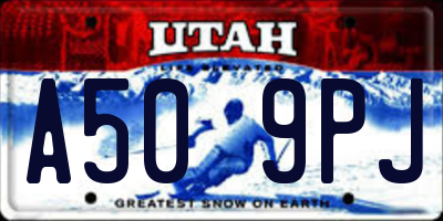 UT license plate A509PJ
