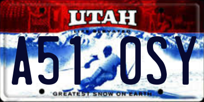 UT license plate A510SY