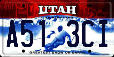 UT license plate A513CI