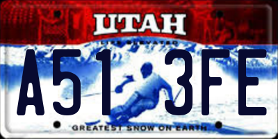 UT license plate A513FE