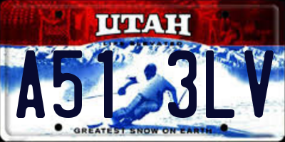UT license plate A513LV