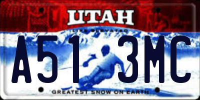 UT license plate A513MC