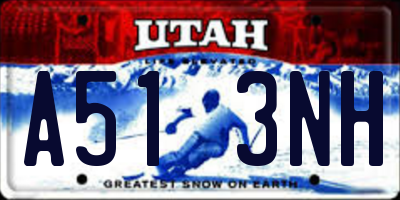 UT license plate A513NH