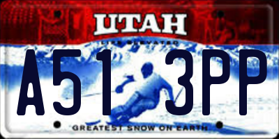 UT license plate A513PP