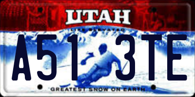 UT license plate A513TE