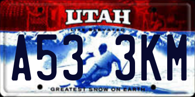 UT license plate A533KM