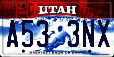 UT license plate A533NX