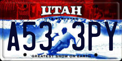 UT license plate A533PY