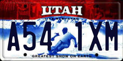 UT license plate A541XM