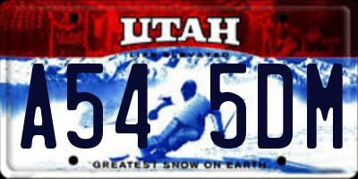 UT license plate A545DM