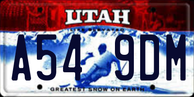 UT license plate A549DM