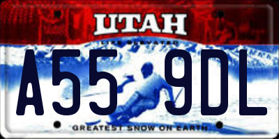 UT license plate A559DL