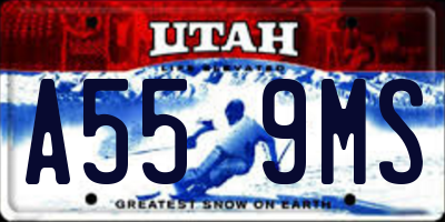 UT license plate A559MS