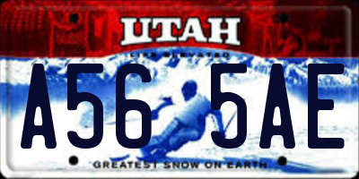 UT license plate A565AE