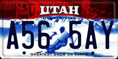 UT license plate A565AY