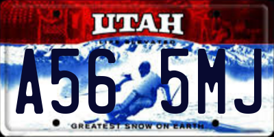 UT license plate A565MJ