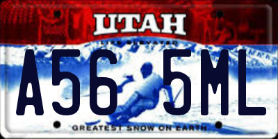 UT license plate A565ML