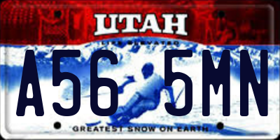 UT license plate A565MN