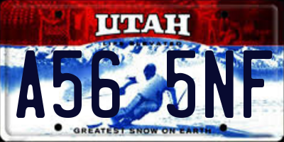 UT license plate A565NF