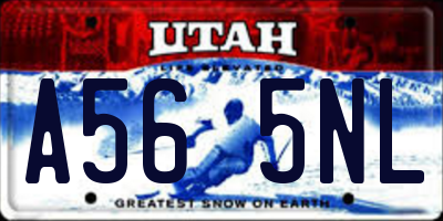 UT license plate A565NL