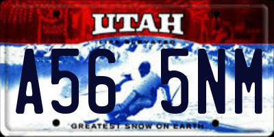 UT license plate A565NM