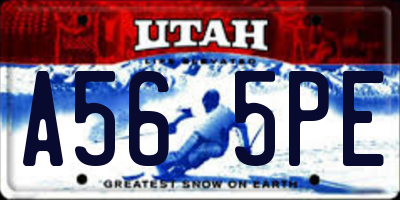 UT license plate A565PE