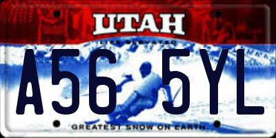 UT license plate A565YL