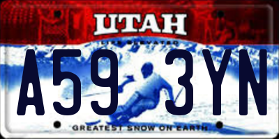 UT license plate A593YN