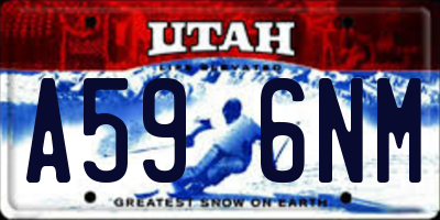 UT license plate A596NM