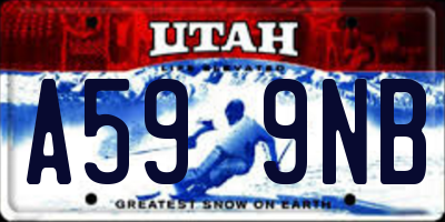 UT license plate A599NB