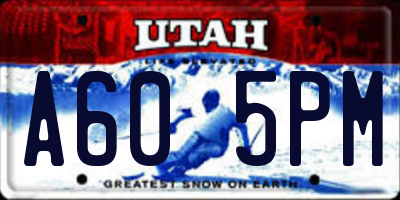 UT license plate A605PM