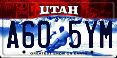 UT license plate A605YM